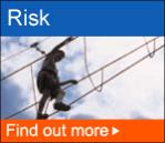 British Standards: Risk